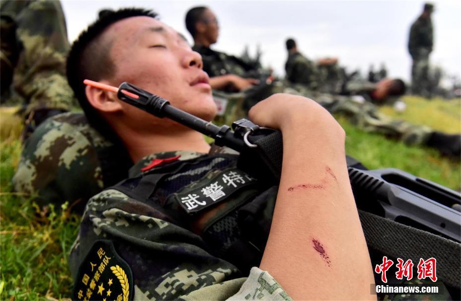 解读:武警特总部队和武警机动部队有何区别?厉害了!