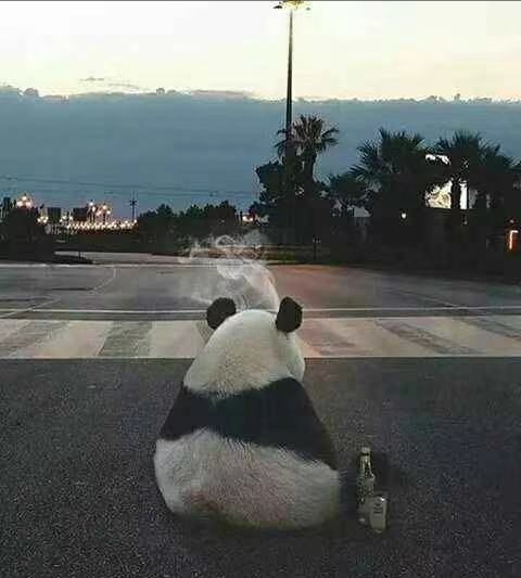 投诉自己孩子被打,反被学校踢出群:打人者是未成年人该保护?