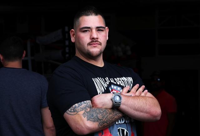 谁说小胖子会一蹶不振,小鲁伊兹计划在5月或6月复出拳台