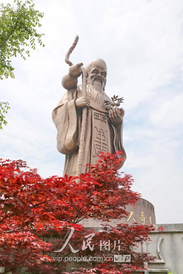 航拍江苏如皋近50米高铜质巨型雕像"天下第一大寿星"