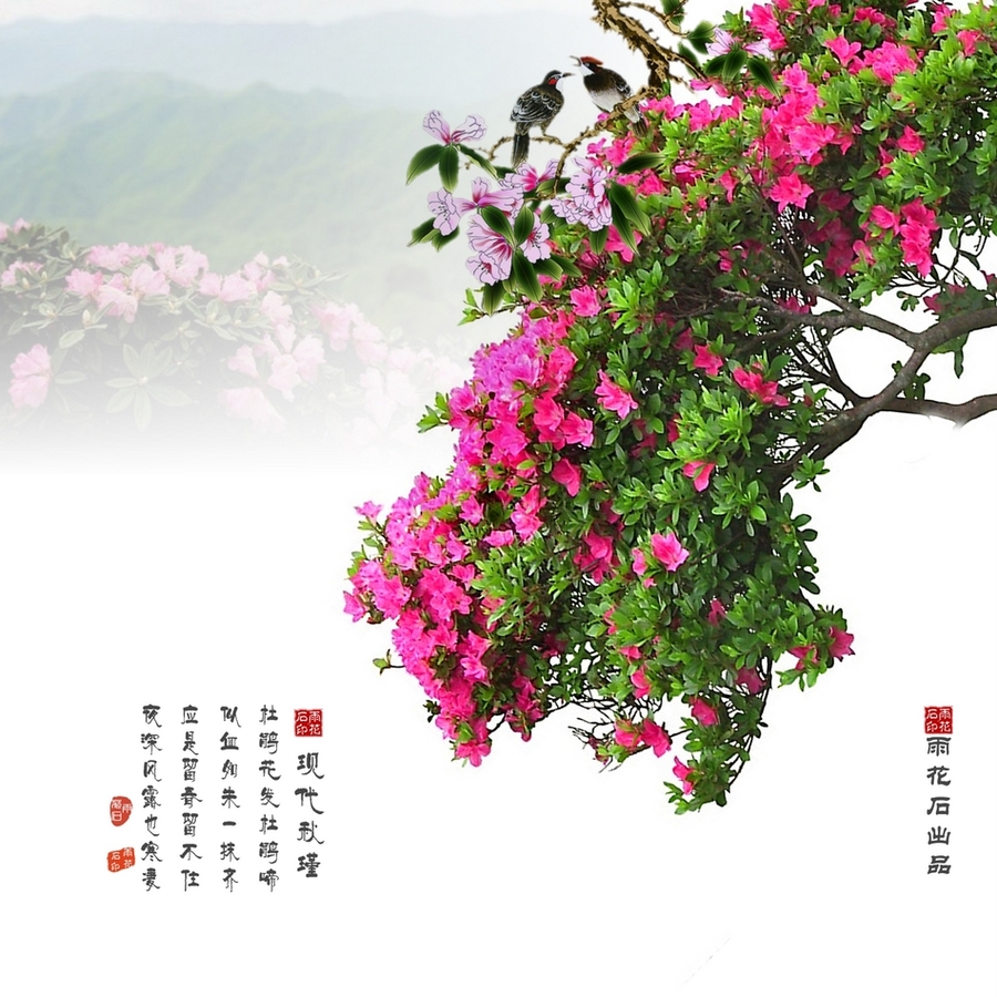 镜花水月终是缘     十二花师各有其风情