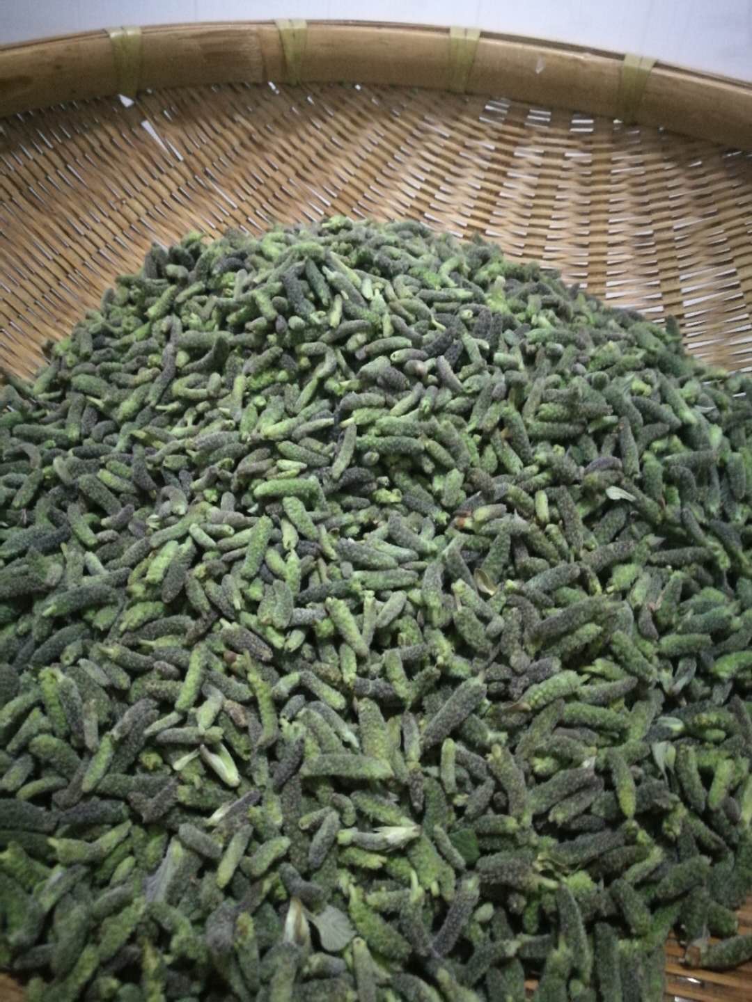 农村一种树叫构树,以前人见人烦,现在树穗都有人吃