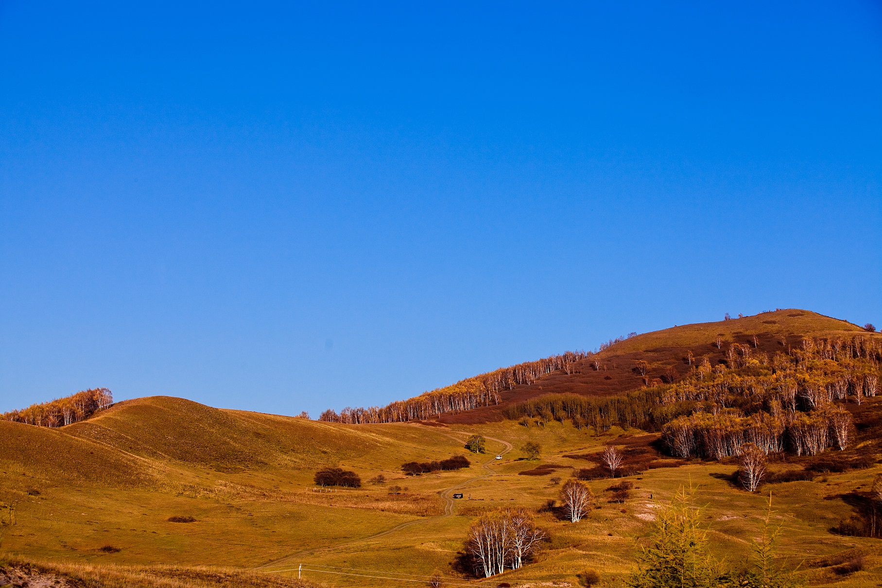 九月的木兰围场,如果错过就辜负了整个秋天