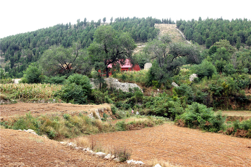 平阴县玫瑰镇:有一座建于明代的泰山行宫,香火已沿袭