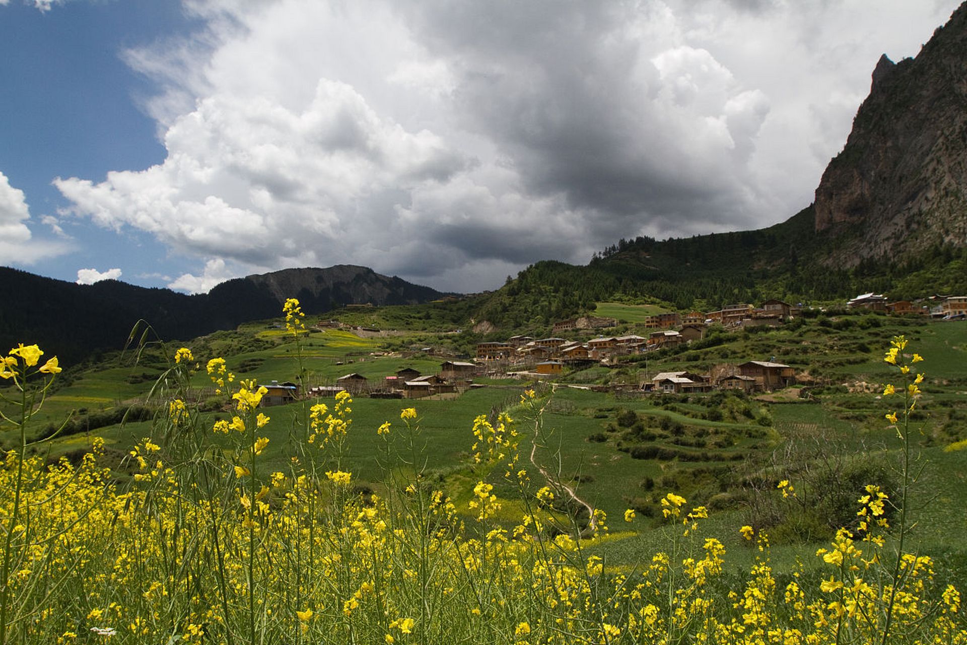 甘加秘境位于甘南藏族自治州夏河县,蕴藏着丰富的原始生态景观,包括