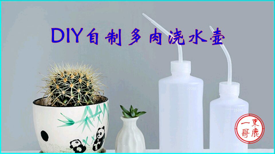 DIY自制多肉浇水壶