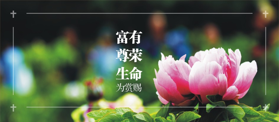 圣经金句 ‖ 敬畏耶和华心存谦卑,就得富有,尊荣,生命为赏赐