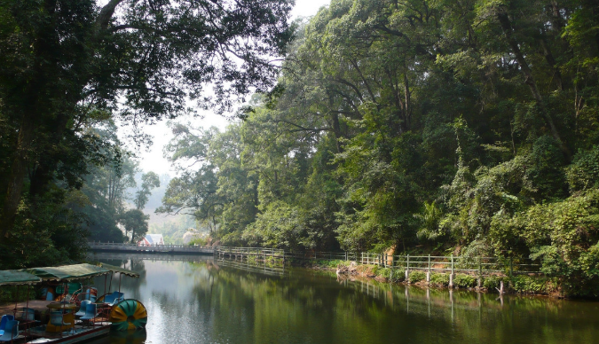 福建三明格氏栲国家森林公园