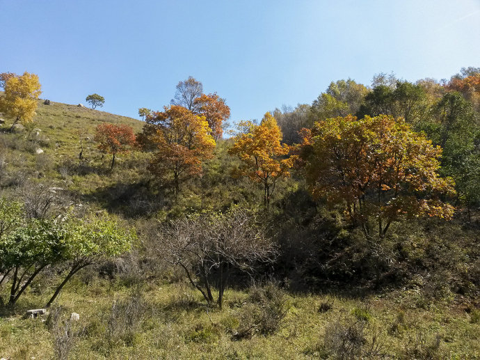 人间仙境 易县摩天岭,山不高但景很美,自驾游的好地方