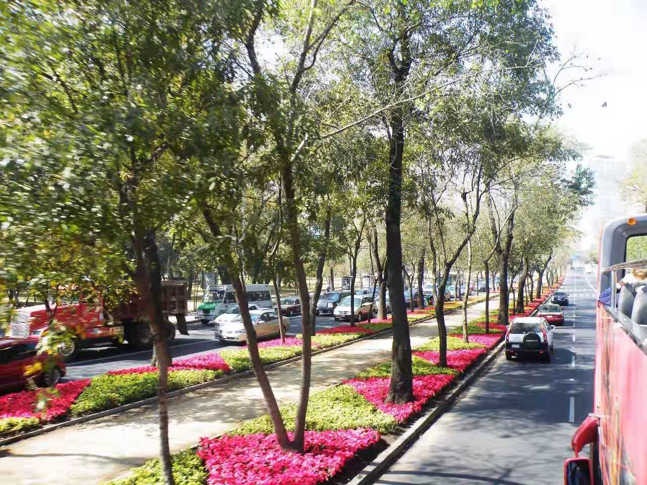 街道景观 | 行走中的美景 城市文化的魅力
