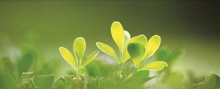 因为美好 所以美好——亿祥董事长王海港解读 "生态战略2.0"