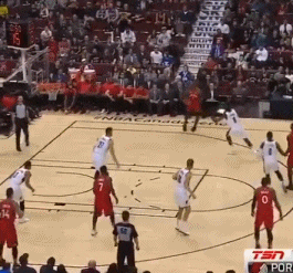 美媒:给猛龙卡哇伊和洛瑞的组合起个响亮的名字,网友们炸开了!