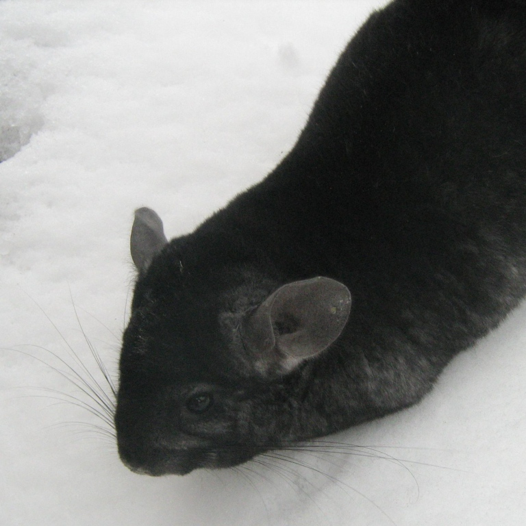 智异山地址 大韩民国全罗南道求礼郡山东面 全罗北道南原市