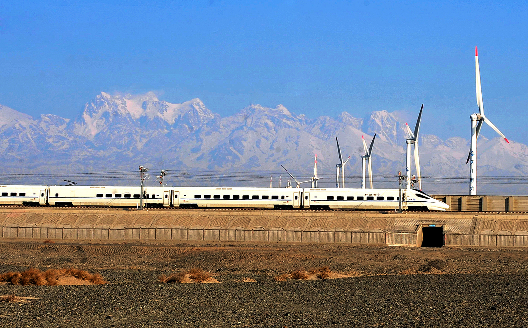 新浪财经全球市场7*24小时直播【青藏铁路正式进入动车时代,西宁至