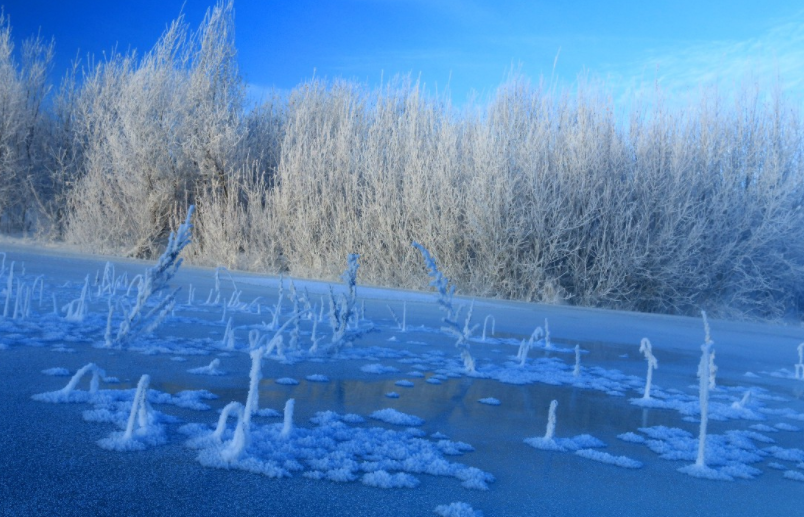 旅遊:大興安嶺林區的雪景