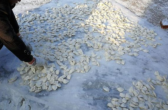 堪称一绝的东北"冻饺子",南方人看见后:真是大开眼界