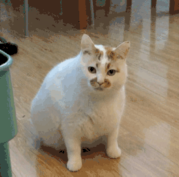 一顿午饭花费3100万,图个啥?