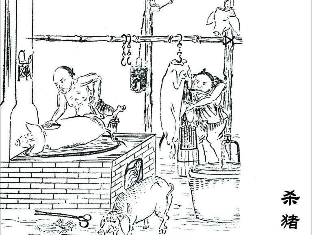 明朝皇帝朱元璋姓朱,那么杀猪行业是怎么规避猪这个字的?