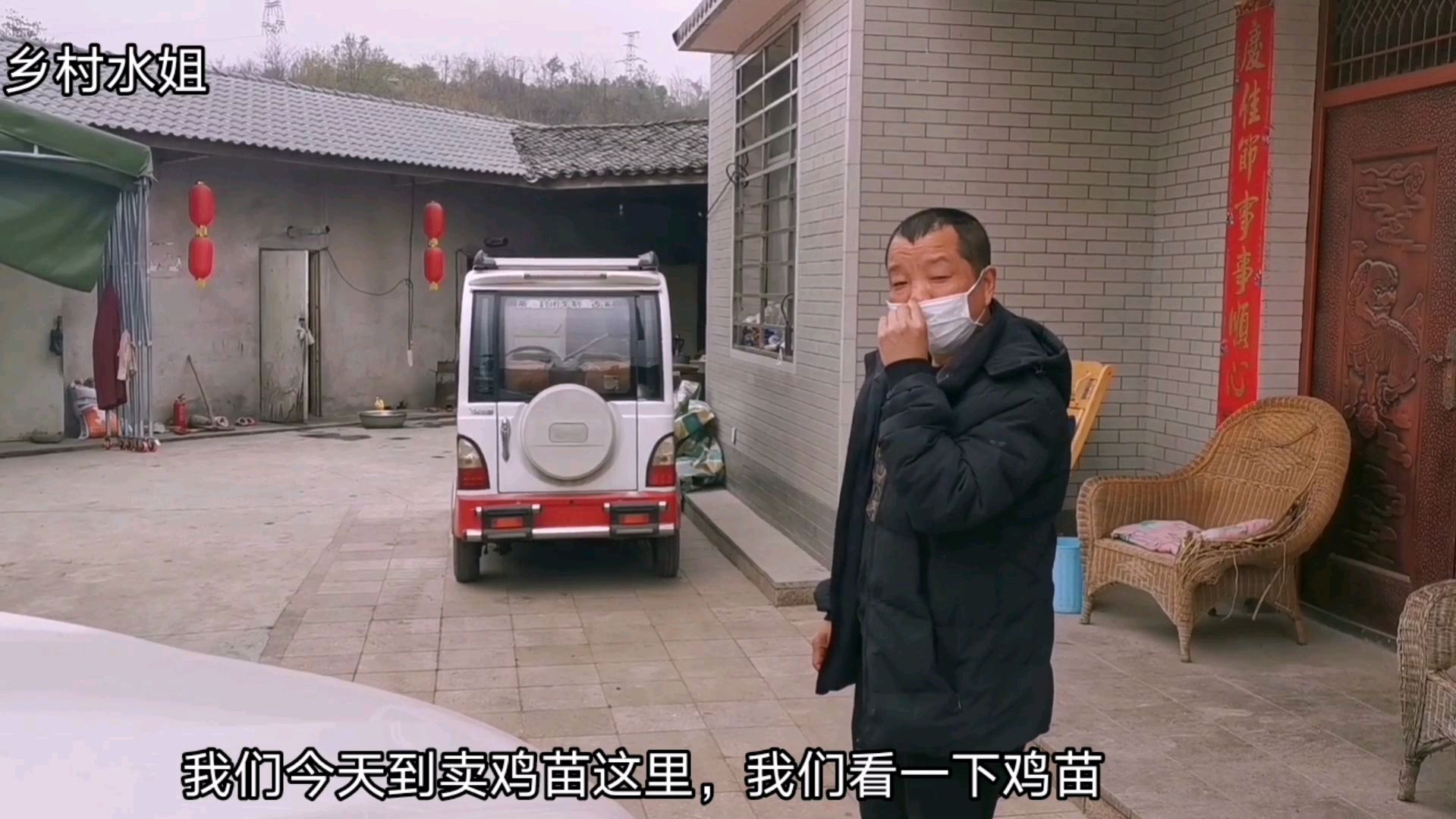 水姐夫今天去定购土鸡苗,问了一下价格,也太贵了吧!
