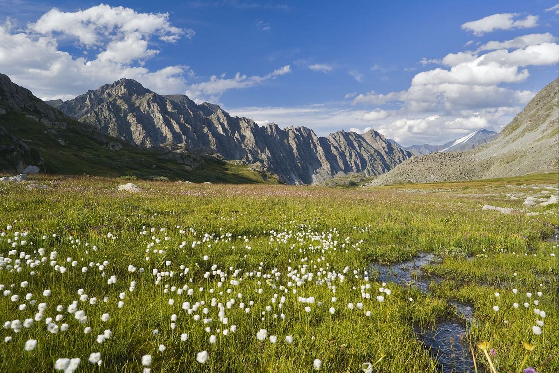 奇遇那拉提#新疆那拉提雪莲谷景点是世界上少有的能欣赏到大草原
