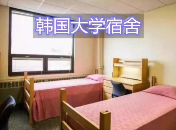 阿联酋大学宿舍图片