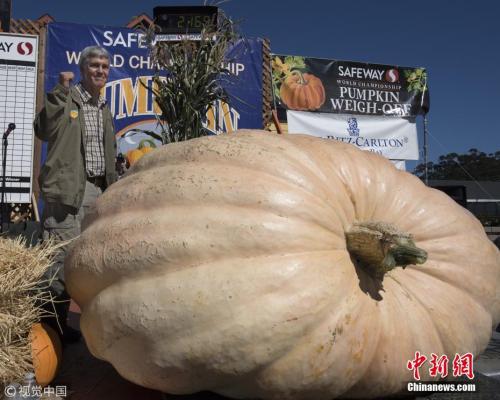 美国男子种出984公斤巨型南瓜 称霸北加州南瓜大赛