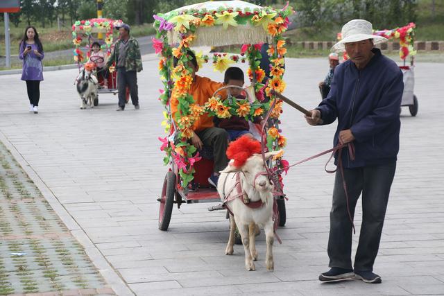 羊车