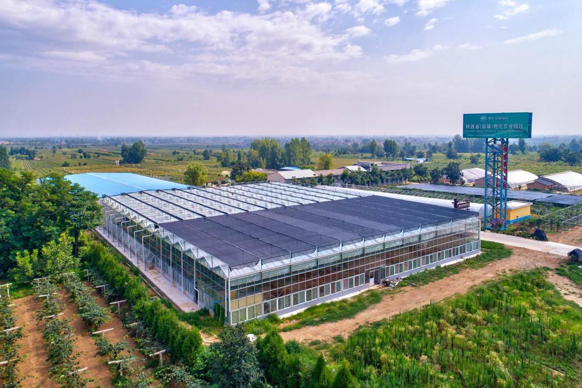 西安高新区一农业企业科研成果获陕西省科技进步二等奖