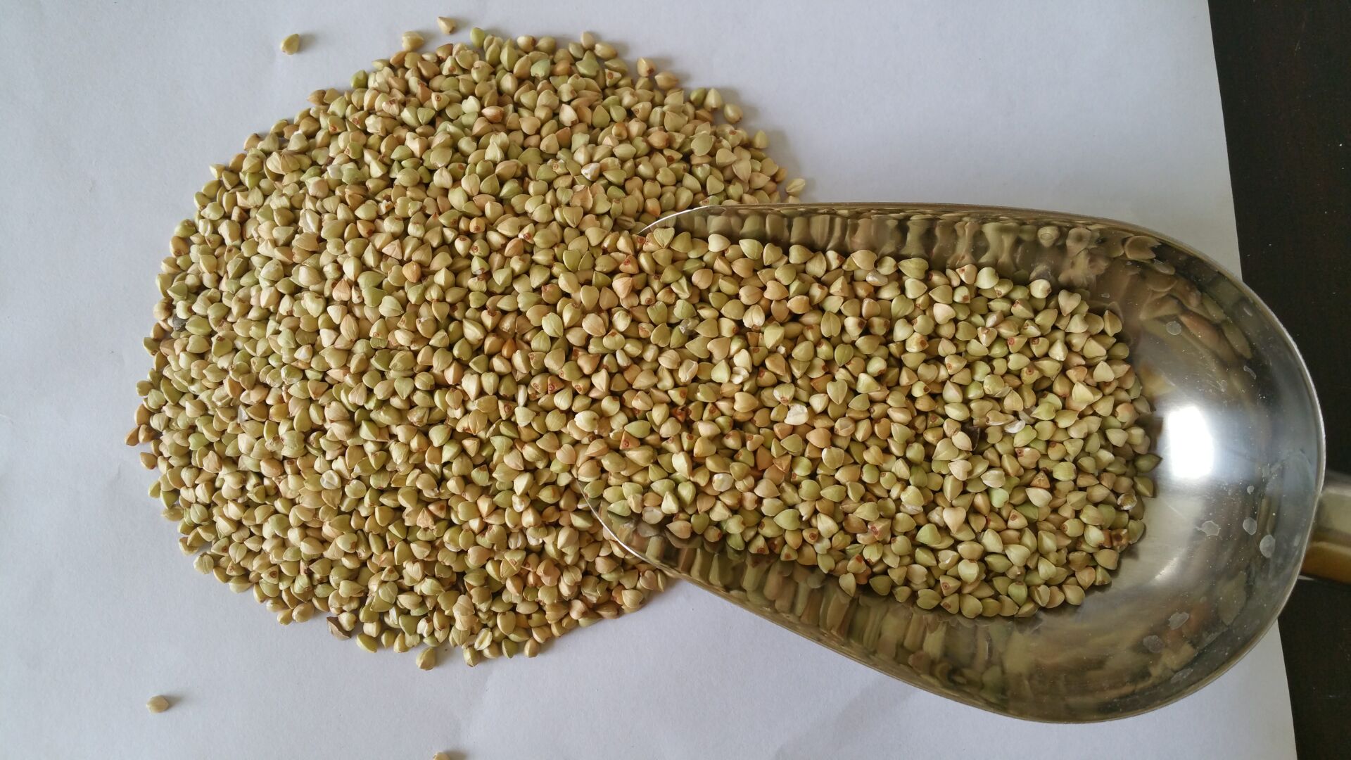 荞麦- 热门商品专区