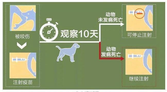 有的說需打出血熱疫苗 有人說不用