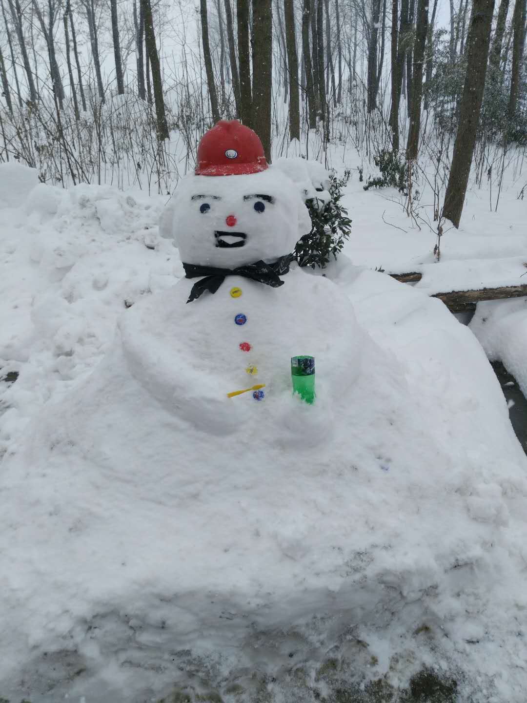 大雪兆丰年,爱上妙趣横生的雪人