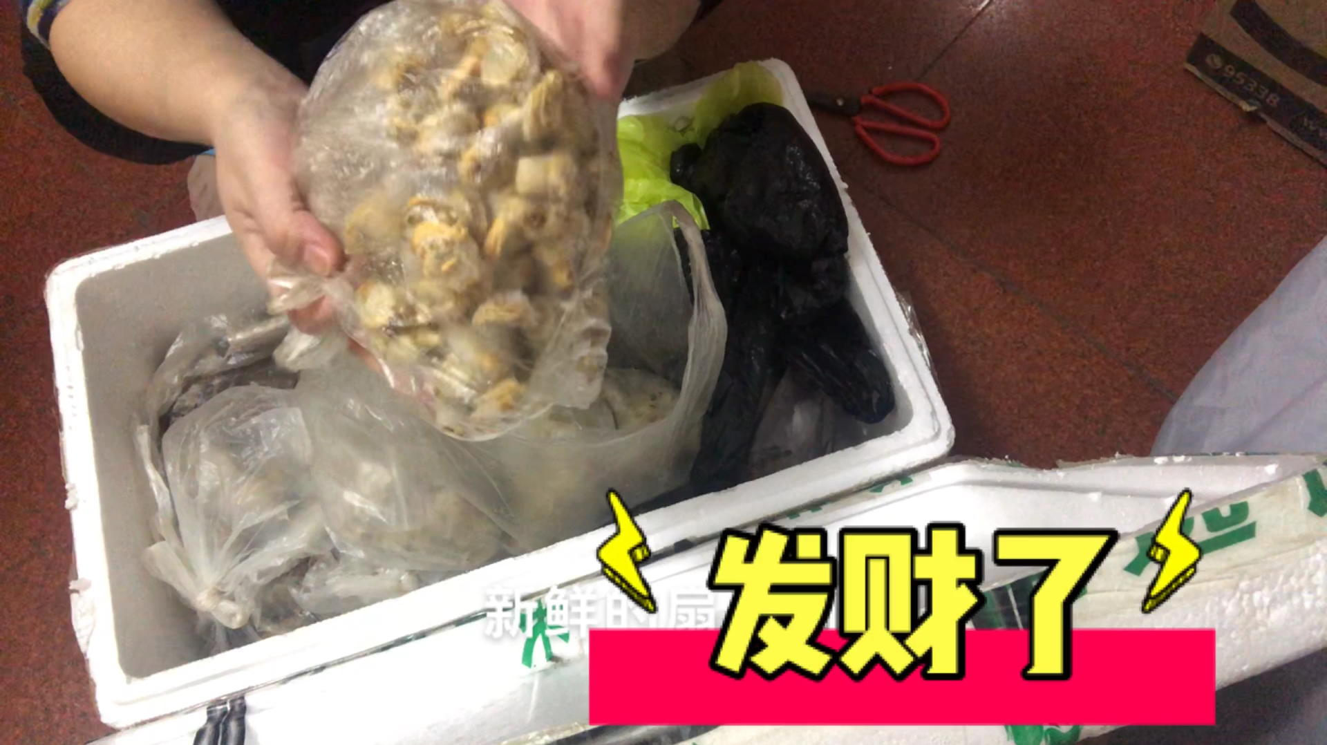 老妈千里寄海鲜四十斤,光运费300多,可怜天下父母心