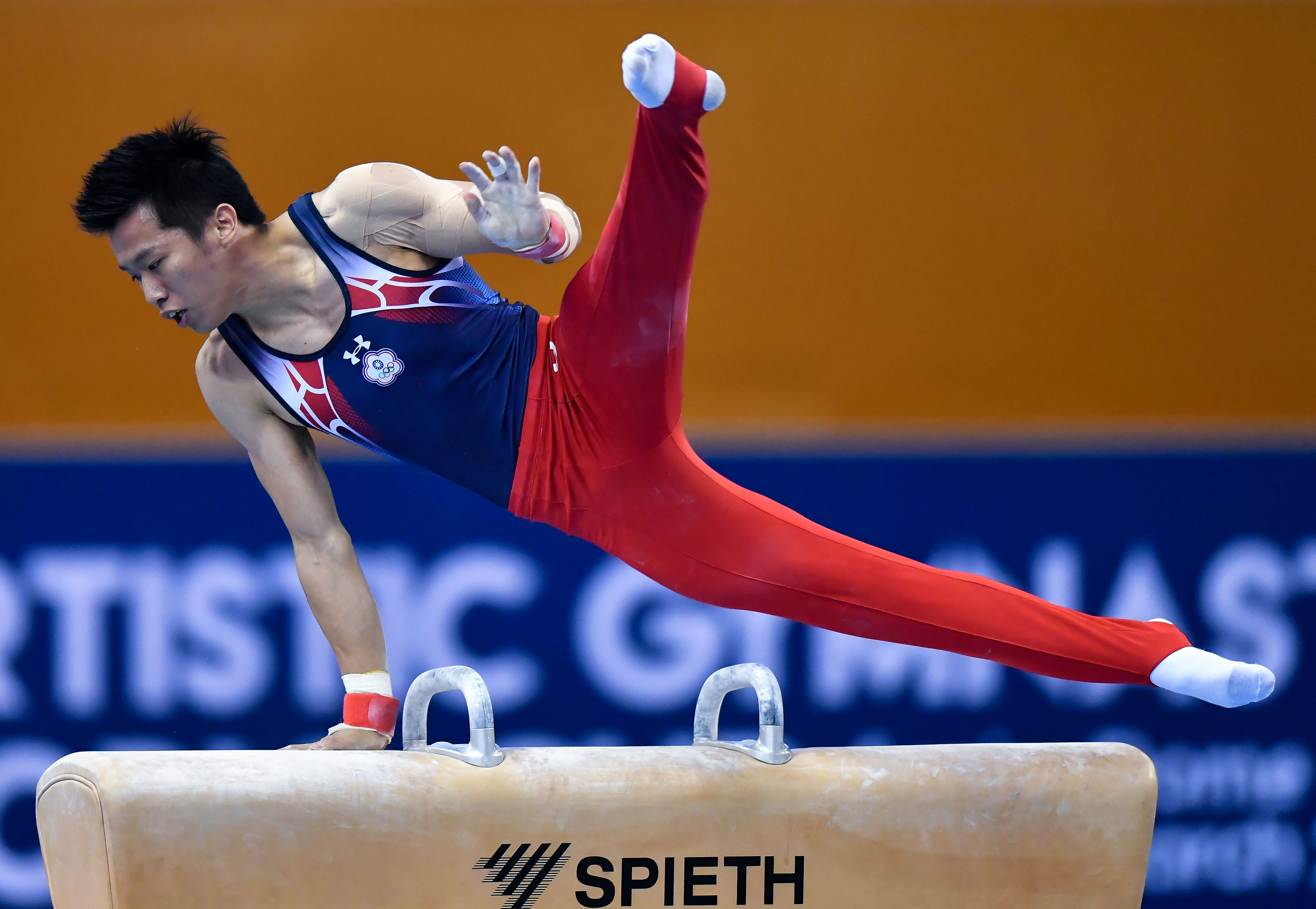 体操——世界杯卡塔尔站鞍马赛况(2)