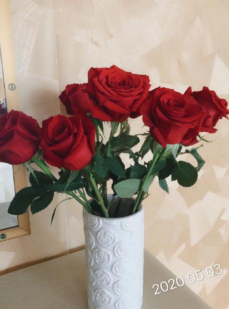 李咏52岁冥寿,哈文与女儿法图麦凌晨为其庆生,配图引伤心回忆