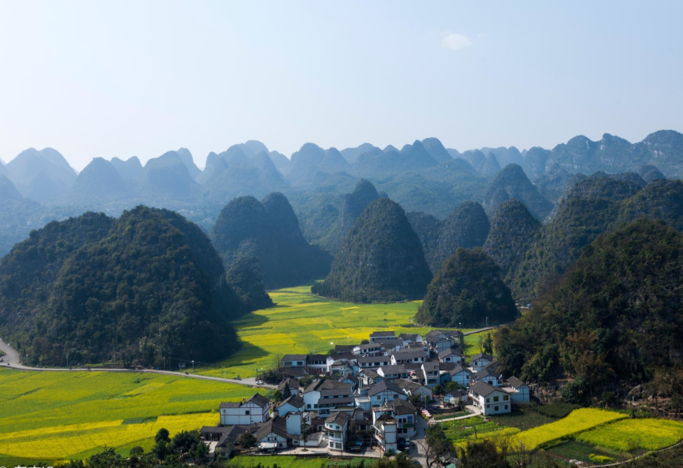 旅游风景:万峰林,满眼金黄色的油菜花,峰峦叠起美不胜收!