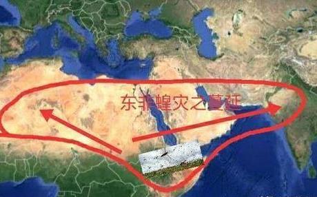 非洲蝗灾地图图片