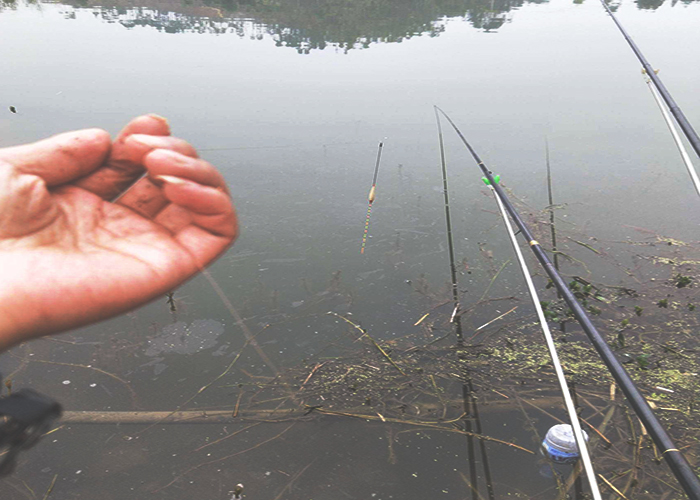 冬季手竿垂钓,掌握这些小技巧,让你渔获多多,推荐钓友收藏