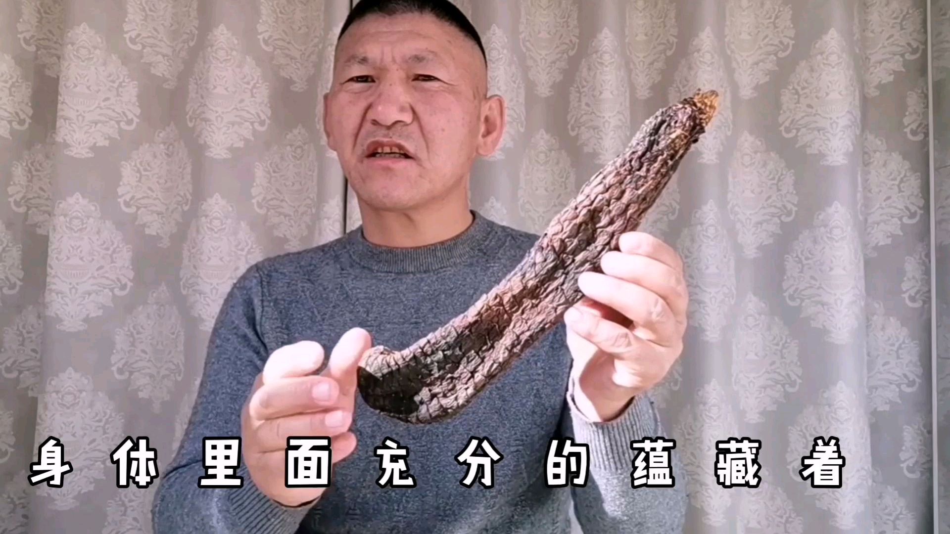怎么区分肉苁蓉和油苁蓉,究竟啥样的苁蓉好