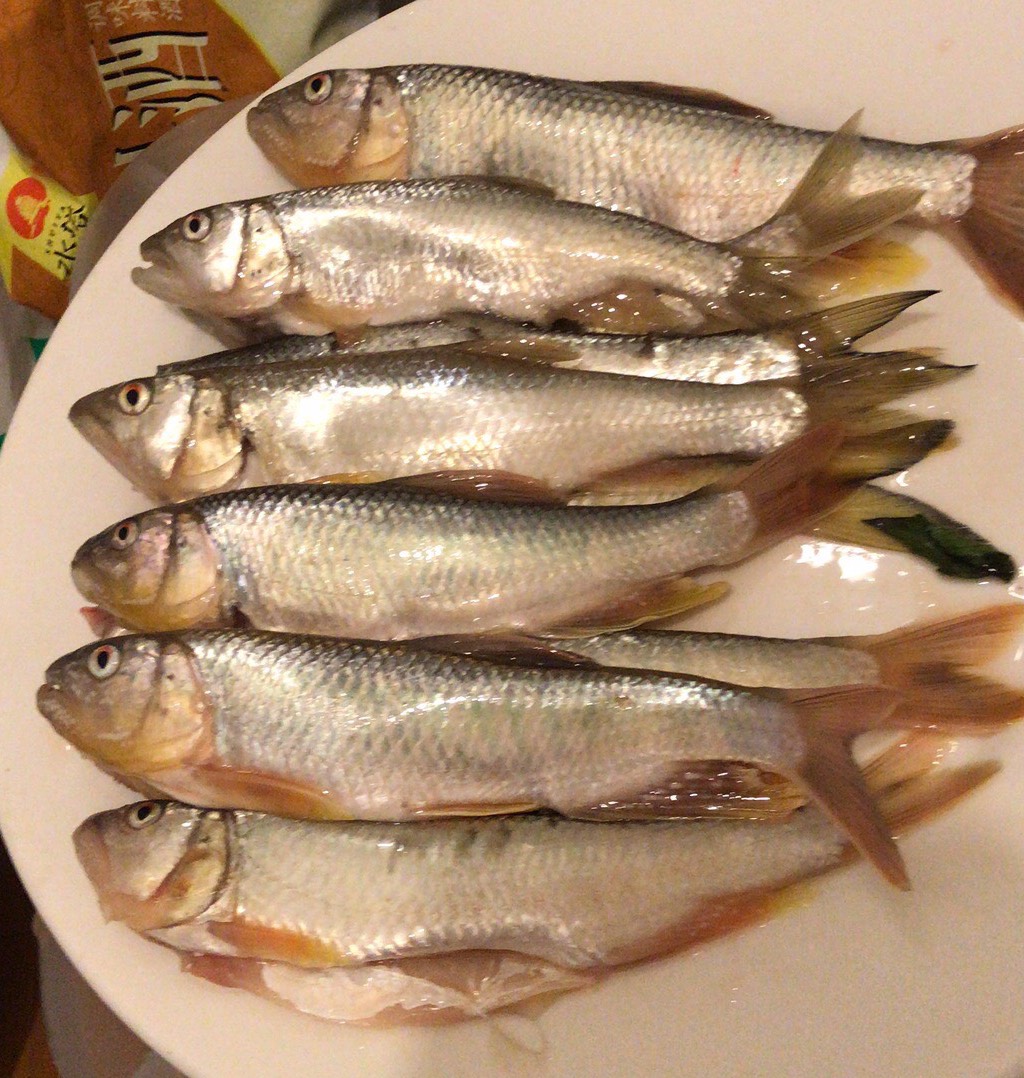 路亚马口的正确姿势