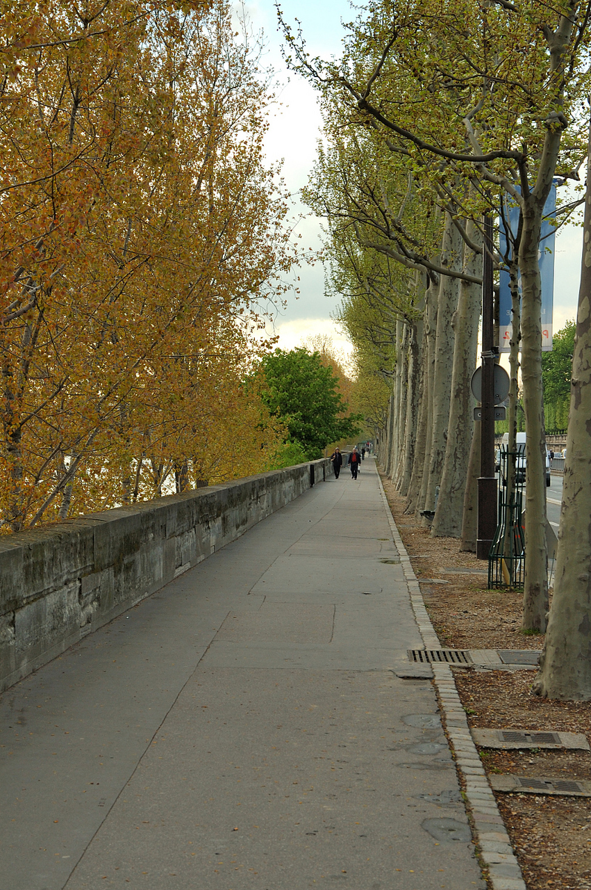 穿越时空的旅行# 漫步在思南路上,我仿佛置身于一个充满文艺气息的