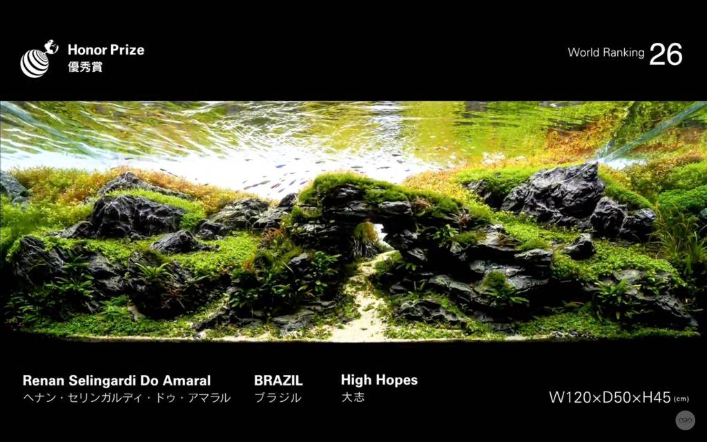 2018ada造景大赛获奖作品出炉,头奖草缸是对硬骨架泛滥的回应?
