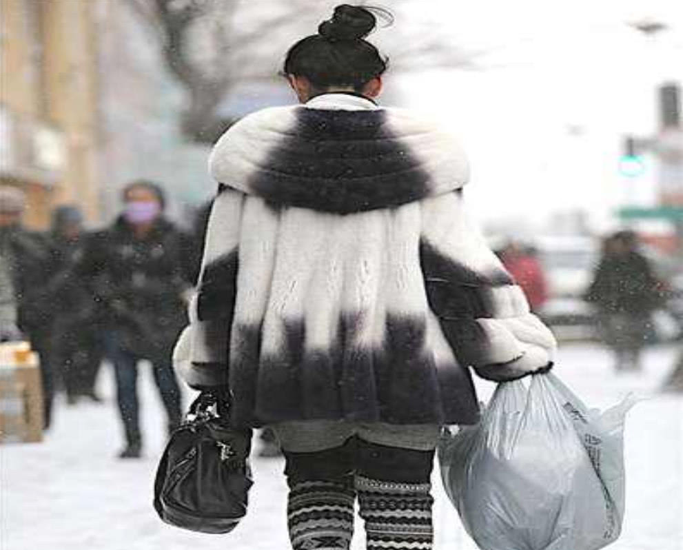 为什么东北人都爱穿貂皮?其中有何"猫腻"?说出来你可能不信