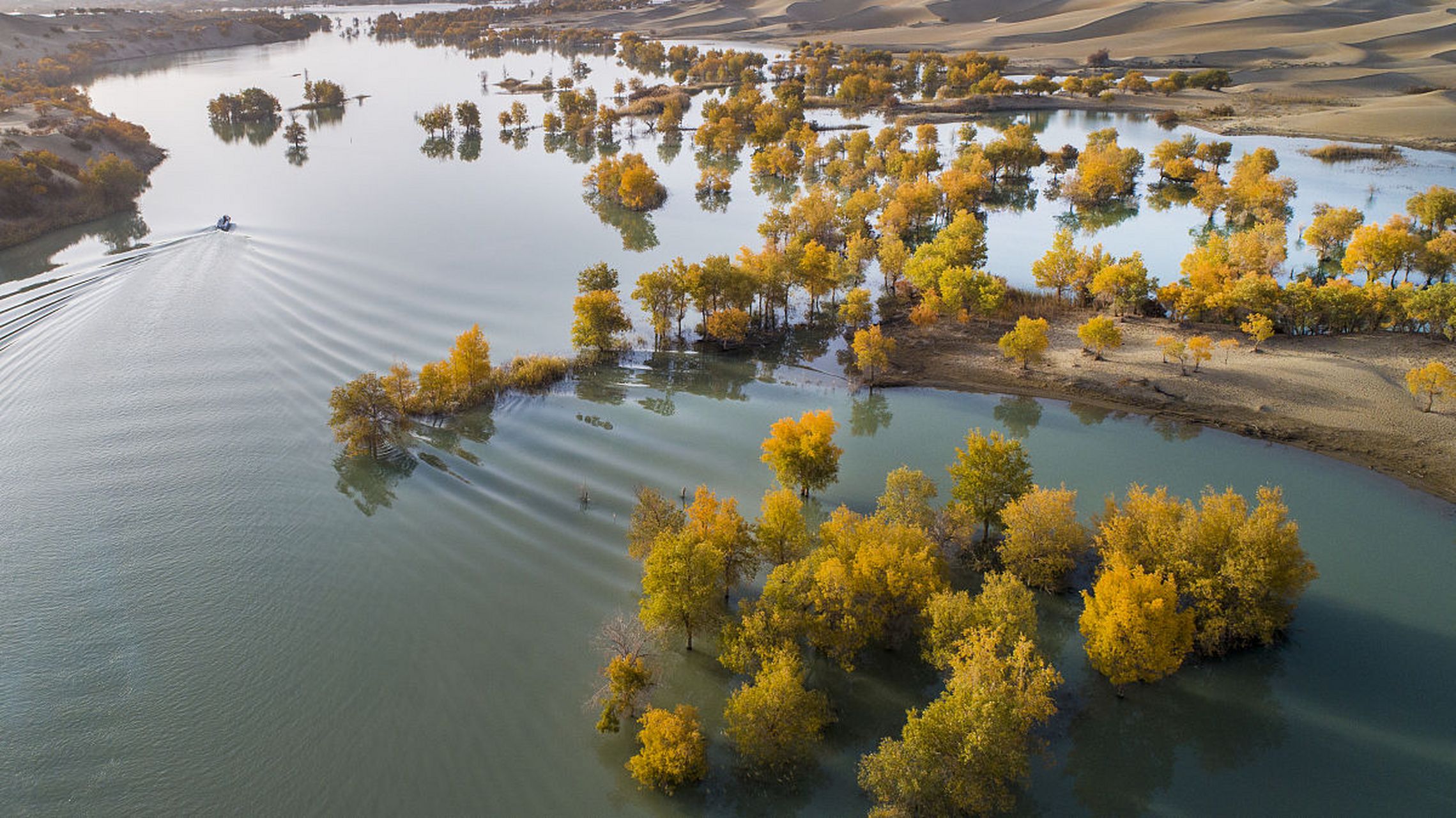 新疆喀什白沙湖风景区是自然风光,历史文化与特色美食的绝佳结合.