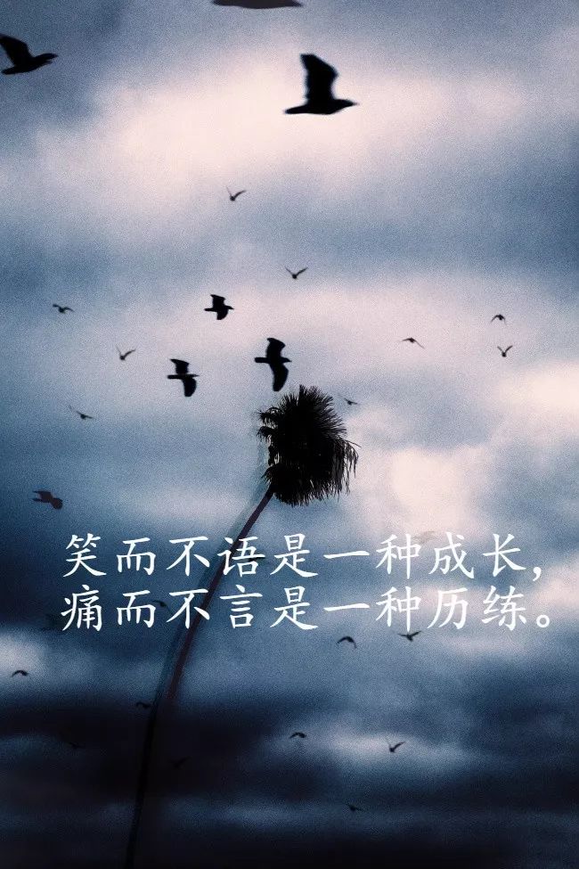 既然认准了一条路,那就坚持走下去,命运不会辜负每一个认真而努力的人