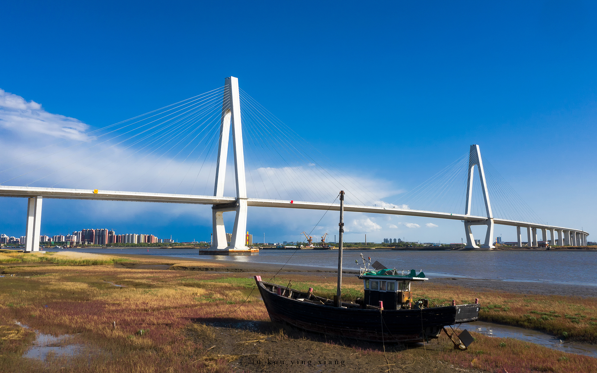 营口地标建筑:东北第一桥"辽河特大桥"