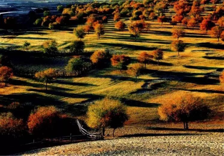 棋盘式构图,向心式构图,隧道式构图,框式构图,垂直线构图