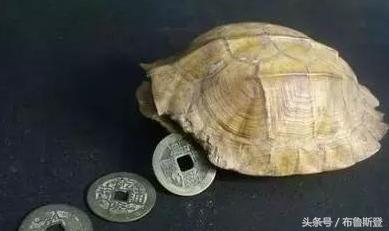 上古中医岐黄五术国粹!——山,医,命,相,卜