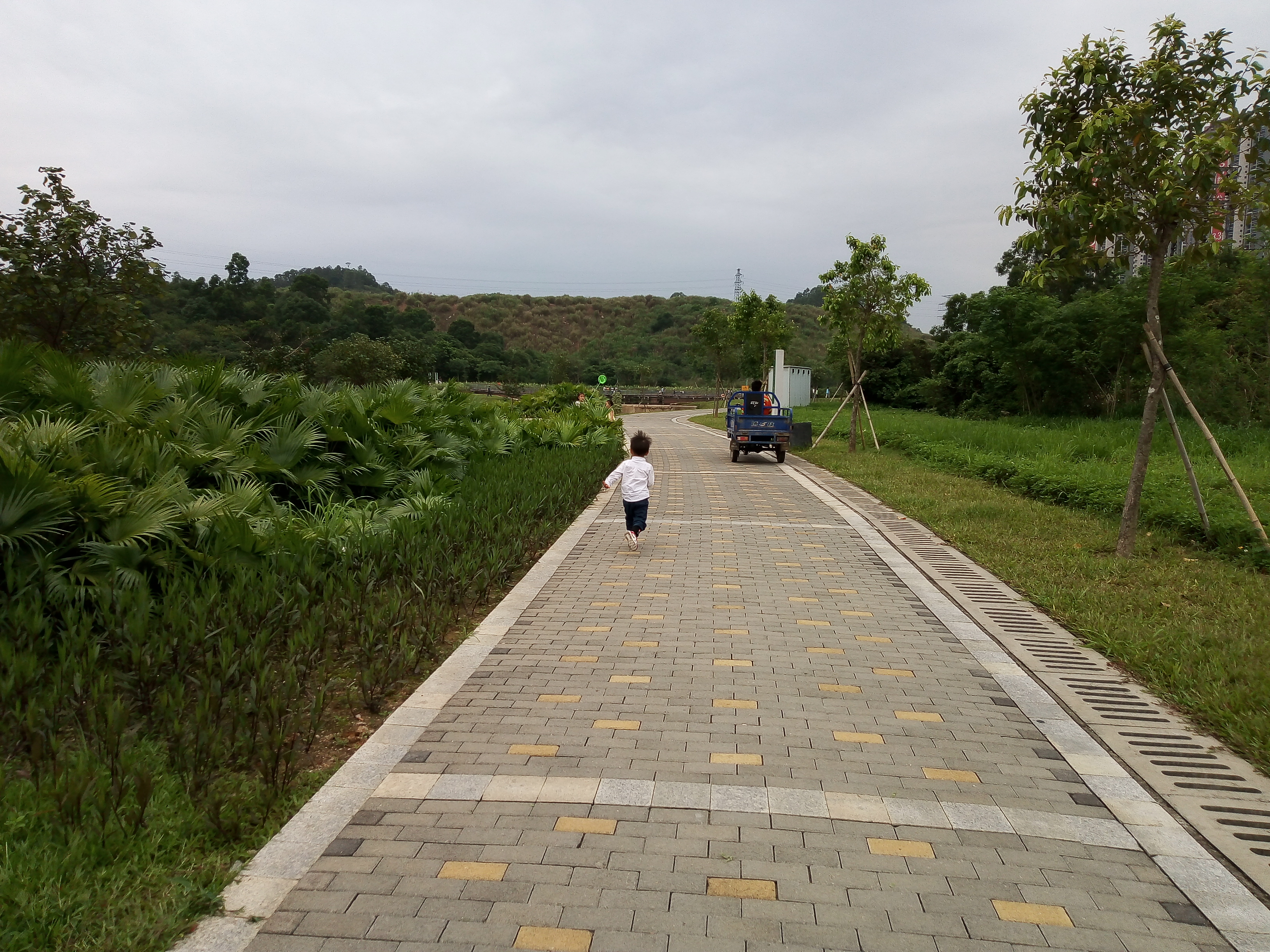 深圳市龙岗区坪地湿地公园五一假期实拍,这里的人也不少呢