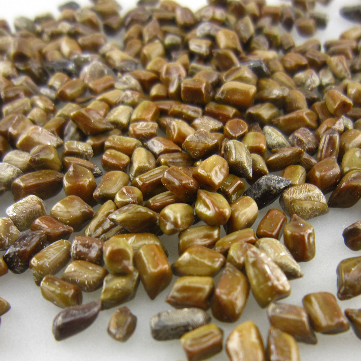 你知道决明子的功效吗?