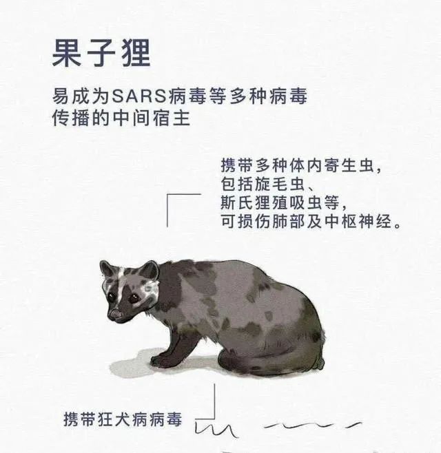 全面禁止食用野生动物!该为吃野味划上句号了